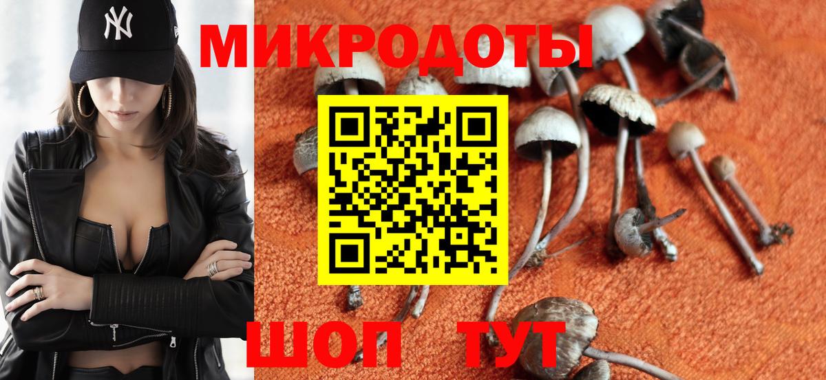 Псилоцибиновые грибы MAGIC MUSHROOMS  Вход с VPN  Мурино 