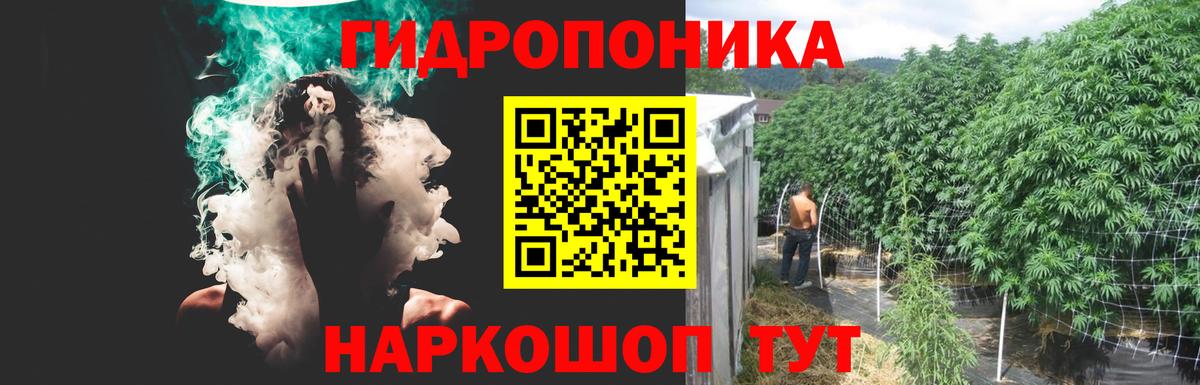 Мурино  Канабис AK-47  Каннабис OG Kush  Вход с VPN  Шишки марихуана конопля 